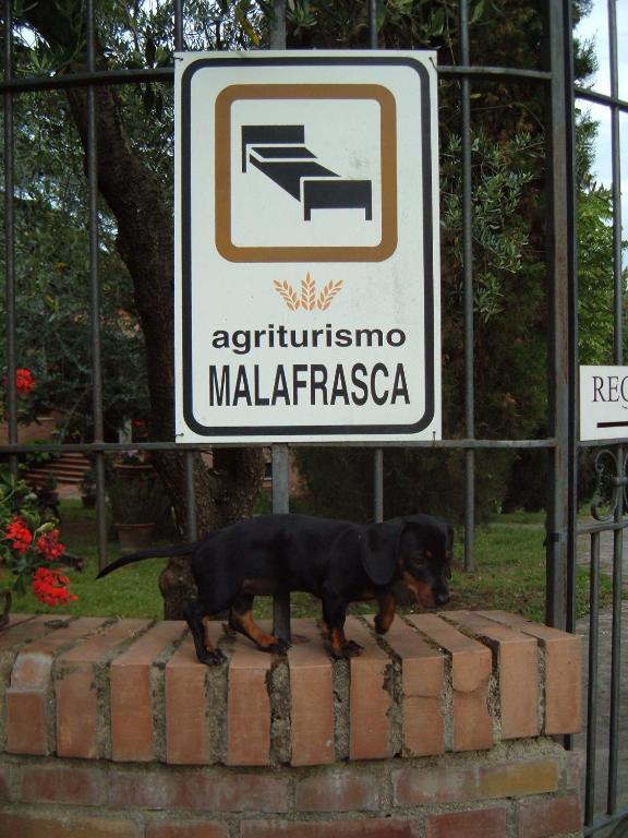 Agriturismo Malafrasca Siena Exterior foto