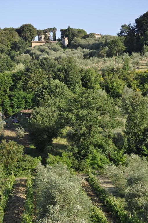 Agriturismo Malafrasca Siena Exterior foto