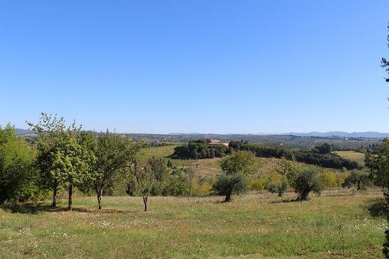 Agriturismo Malafrasca Siena Exterior foto
